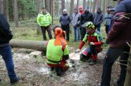 Mehrere Personen im Wald stehen um einen gefällten Baumstamm